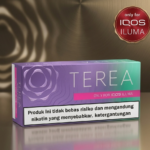 Heets Terea Purple Wave Indonesian version in Dubai