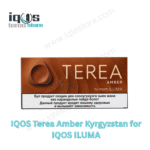 TEREA Amber Kyrgyzstan tobacco stick pack