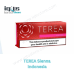 TEREA Sienna Indonesia pack for IQOS ILUMA